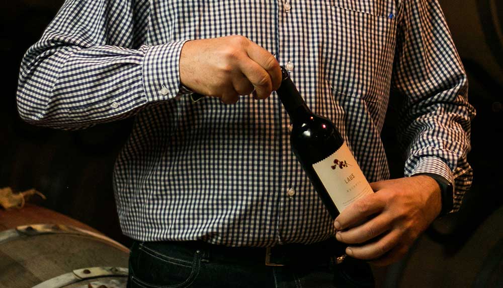 Por qué se utiliza Corcho en las Botellas de Vino? – Bodegas y