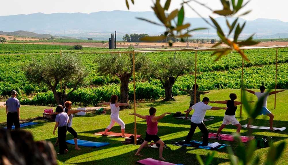 yoga entre viñedos