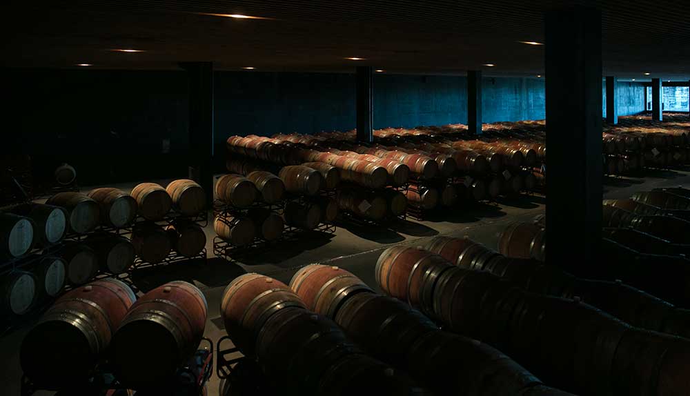 la madera en el vino sala de barricas LAUS