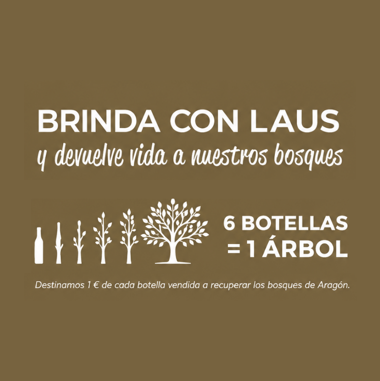 777x779 gráfica laus solidario