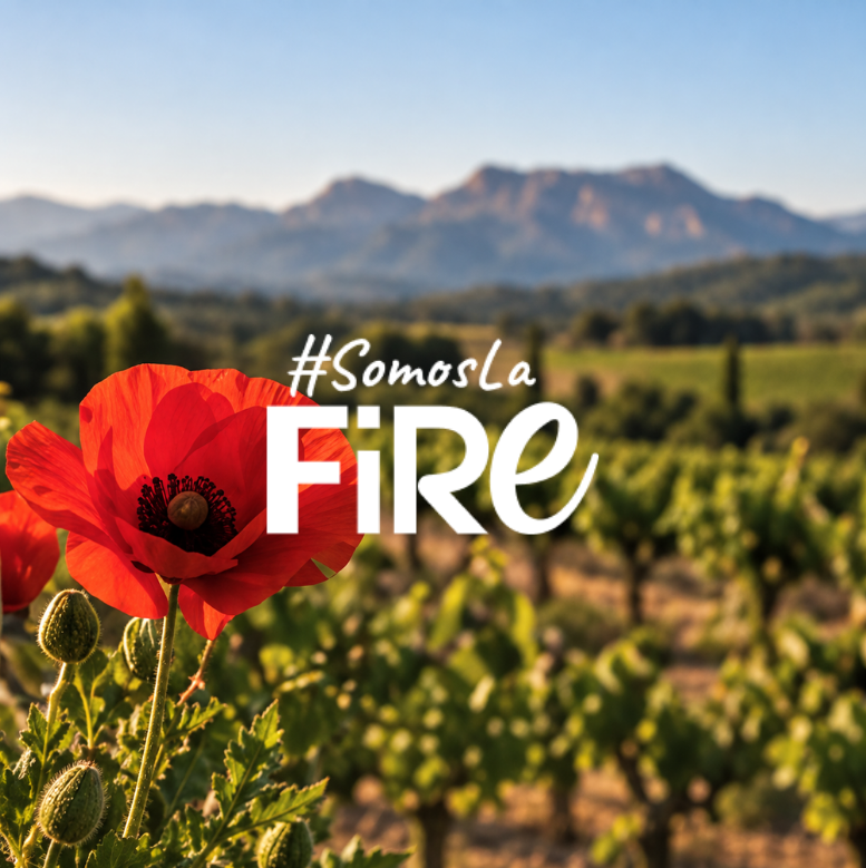777x779 gráfica laus solidario_riglos_FIRE